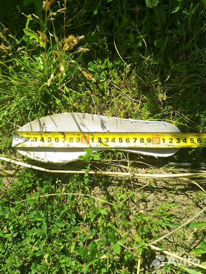 Профессиональные коньки 36 размер Graf topaz