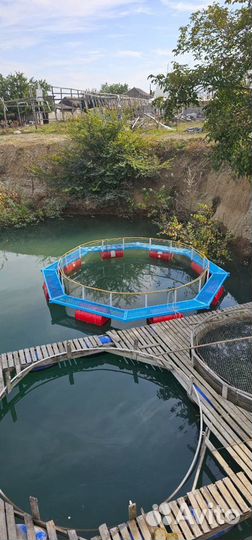 Садок для выращивания рыбы