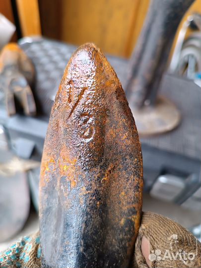 Лапа сапожная