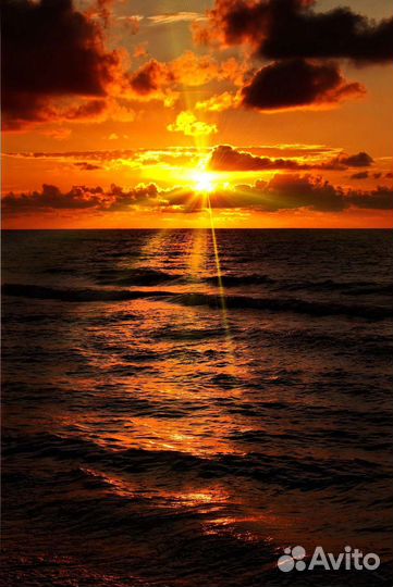 Куршская коса с гидом все возможные локации