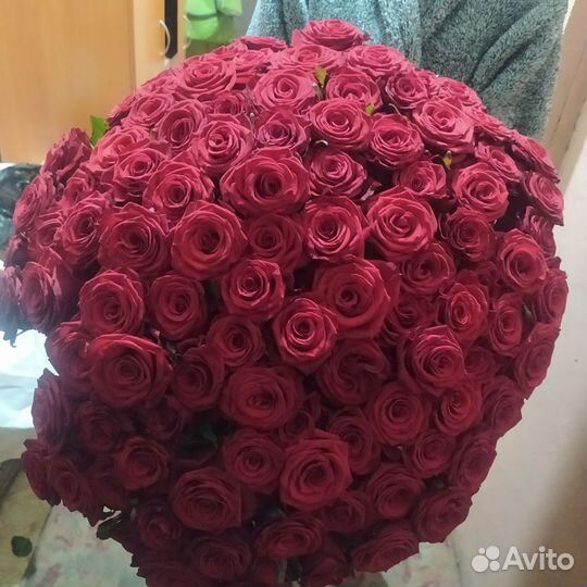 Цветы букет 101 роза