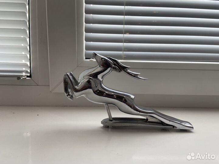 Олень на волгу 21