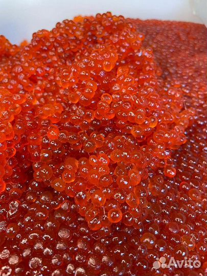 Икра красная 2023 премиум