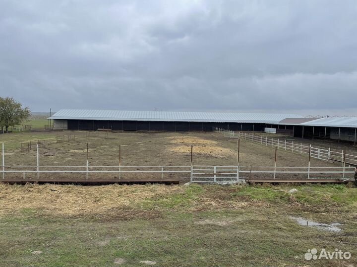 Ферма сельскохозяйственная