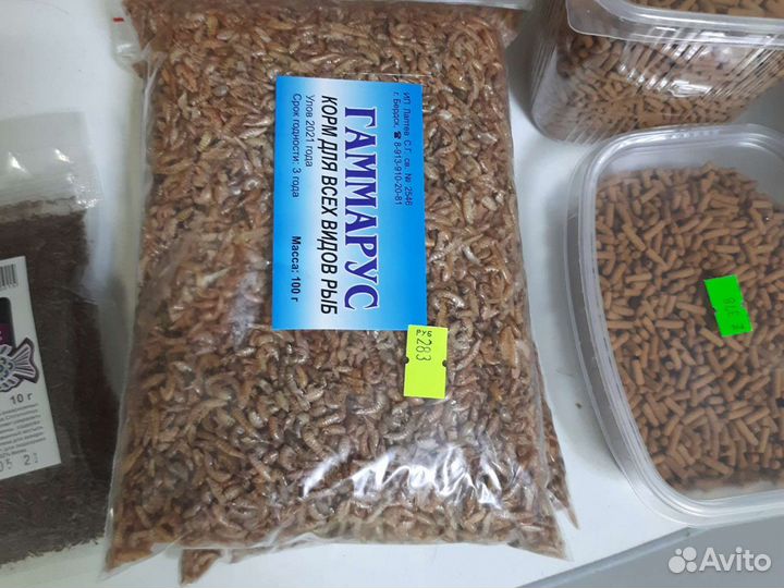 Улитки ахатины