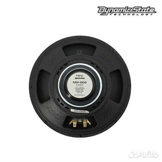 Dynamic State NM-202 мидвуфер