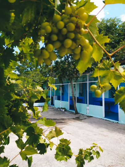 Комната 10 м², 1/1 эт.