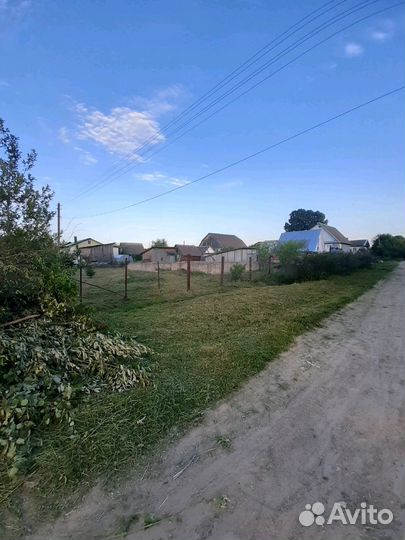 Покос травы и уход за участком