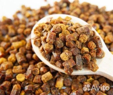 Пчелиная Перга