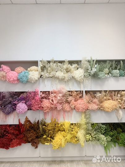 Сухоцветы и стабилизированные цветы