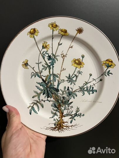 Тарелки Villeroy&Boch, Botanica