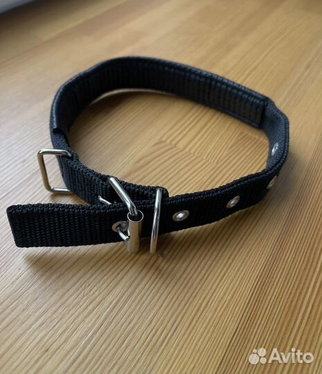 Ошейник для собак