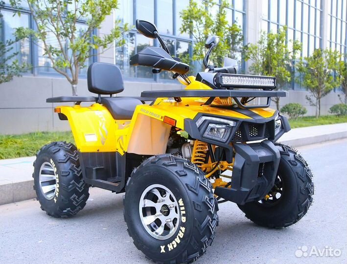 Квадроцикл motoland 200 wild track X PRO tumen