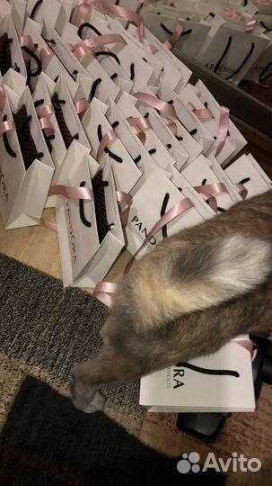 Готовый бизнес серебряные украшения Pandora