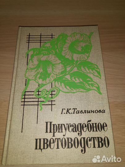 Хобби и отдых