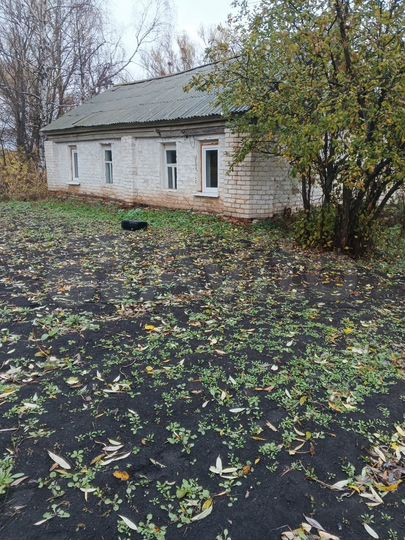 Дом 44,5 м² на участке 29 сот.