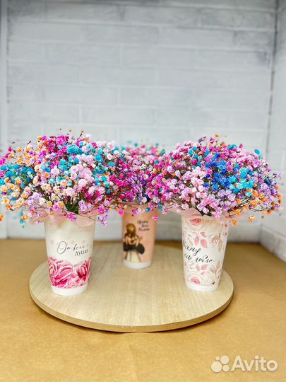 Радужная гипсофила в стаканчике