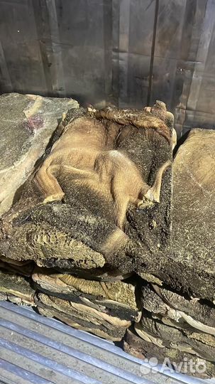 Мясо для собак рубец