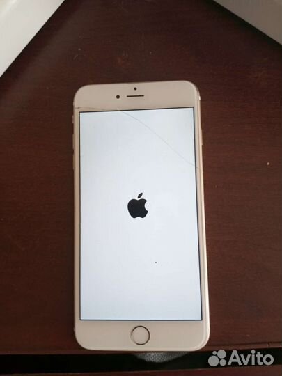iPhone 6 plus