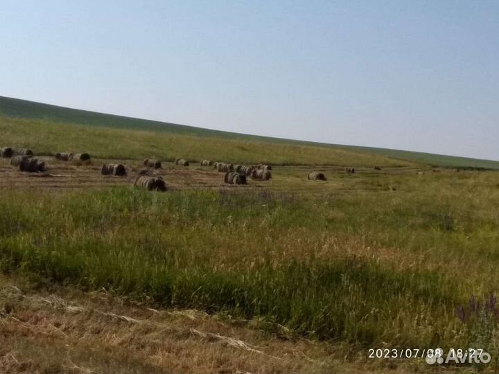 Сено в рулонах 2023