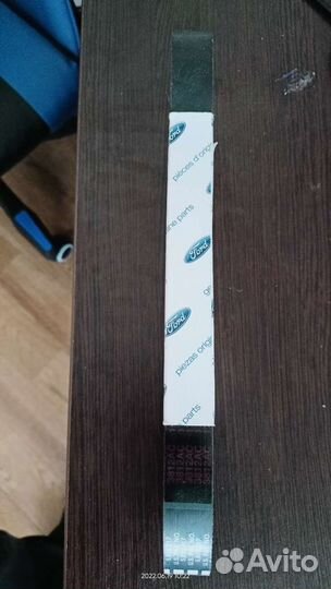 Ремень приводной focus 2