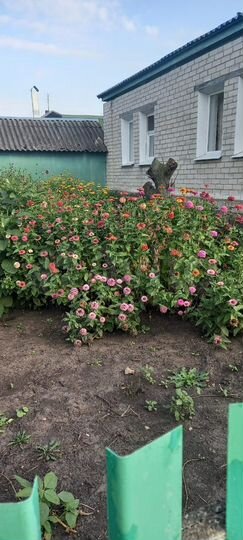 Дом 76 м² на участке 45 сот.