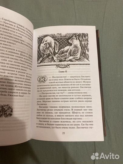 Коты воители - рассвет