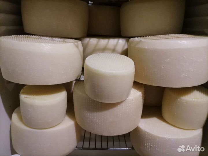 Козий сыр Канестрато