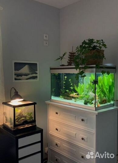 Аквариум
