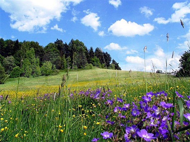 Участок 75 га (ИЖС)