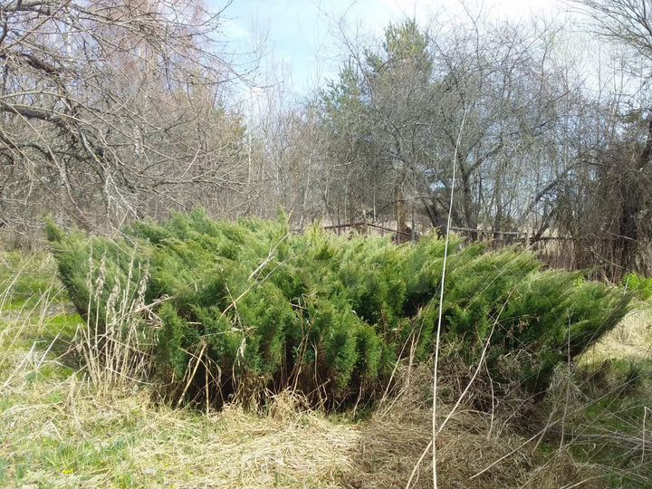 Дом 30 м² на участке 25 сот.