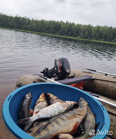 Лодка и мотор