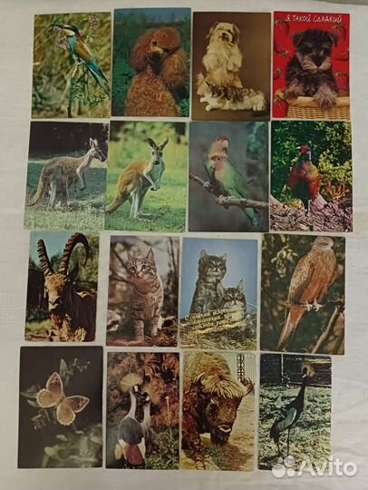 Советские открытки все чистые 10р за открытку