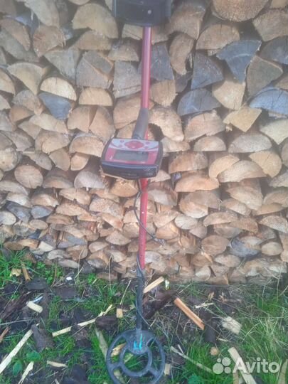 Металлоискатель minelab x-terra305