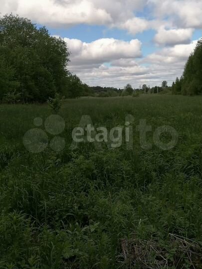 Участок 2,56 га (личное подсобное хозяйство (лпх))