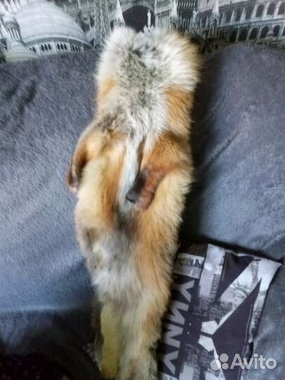 Лиса натуральная