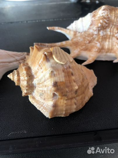 Украшение для аквариума