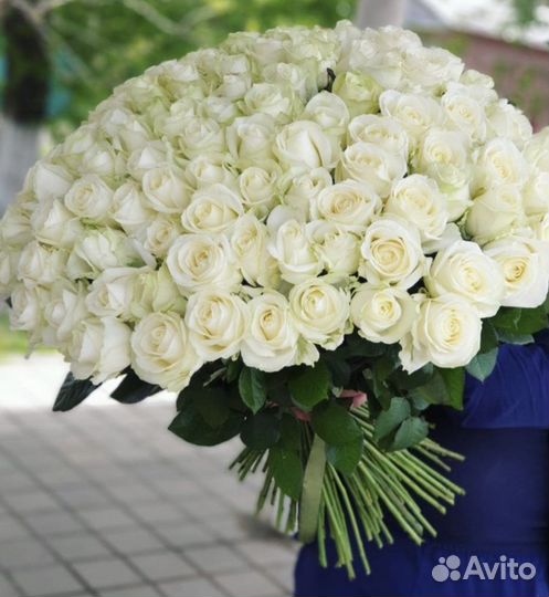 Розы белые Цветы Омск Доставка