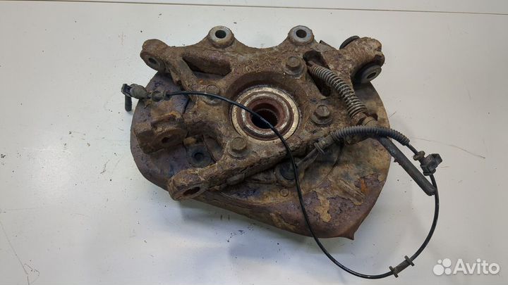 Ступица (кулак, цапфа) Ford Expedition, 2003