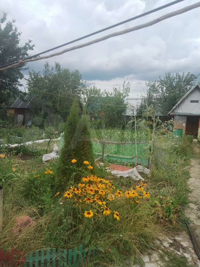 Дом 20 м² на участке 5 сот.