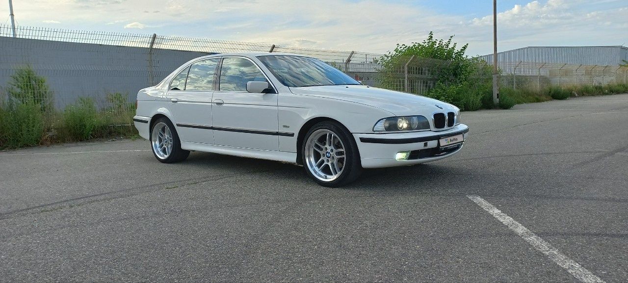 BMW 5 серия: фото владельца