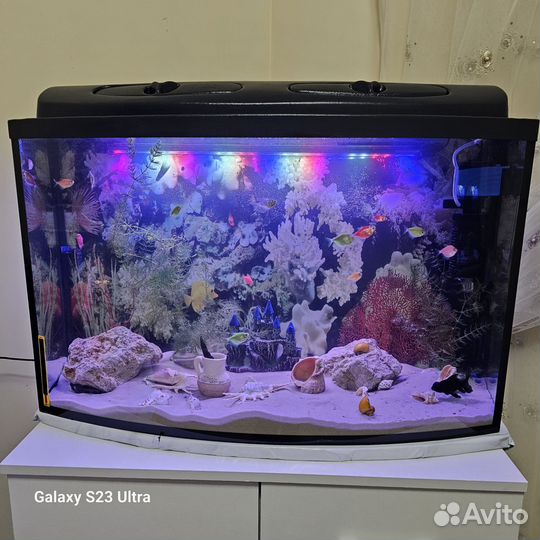 Аквариум 125 л