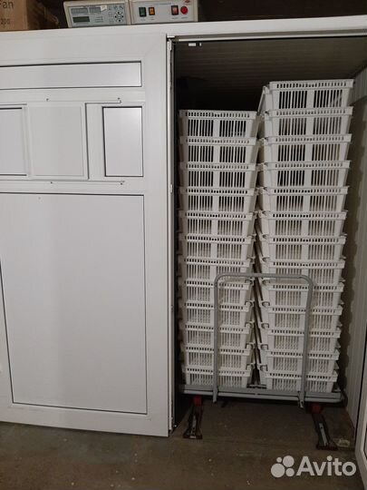 Инкубаторы Предварительный и Выводной Стимул