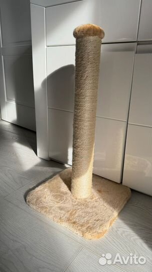 Когтеточка