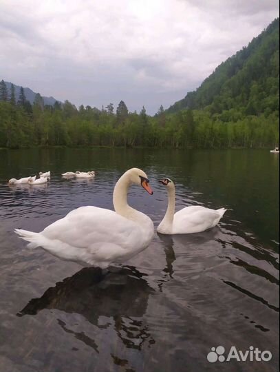 Тёплые озера на Снежной каждый день/тур