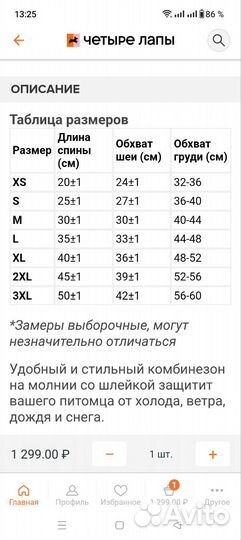 Пакет одежды для йорка