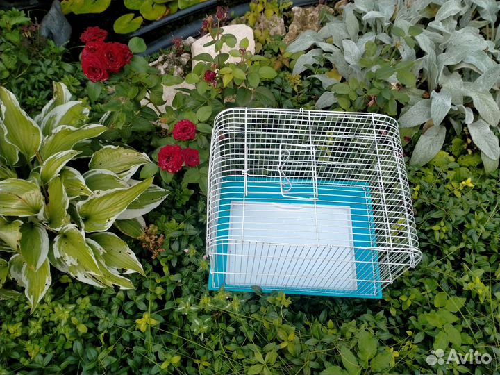 Вольер для попугаев