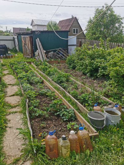 Дом 35 м² на участке 6,8 сот.