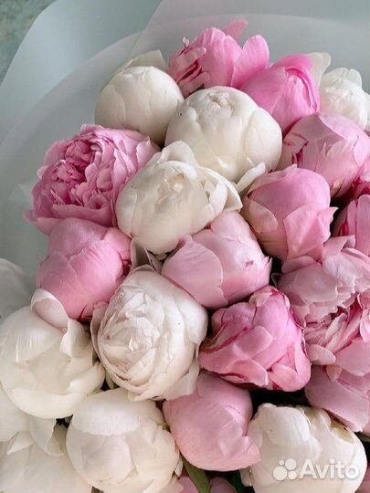 Букет из пионов