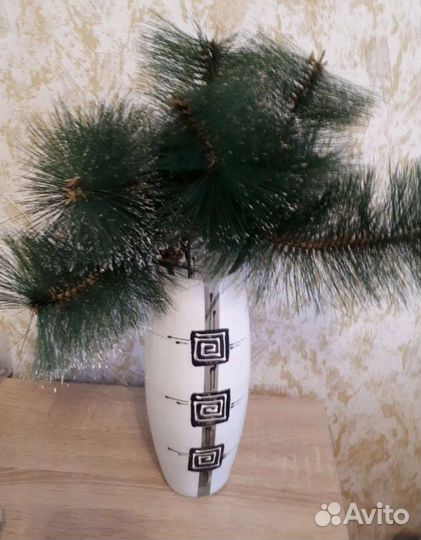 Ветки сосны новые